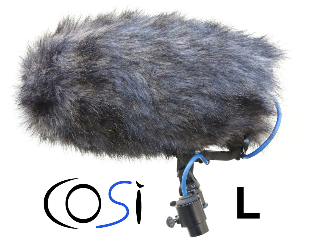 Schoeps MiniCMIT with Cinela COSI-L windshield