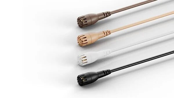 Ley de Protección de Datos 2061